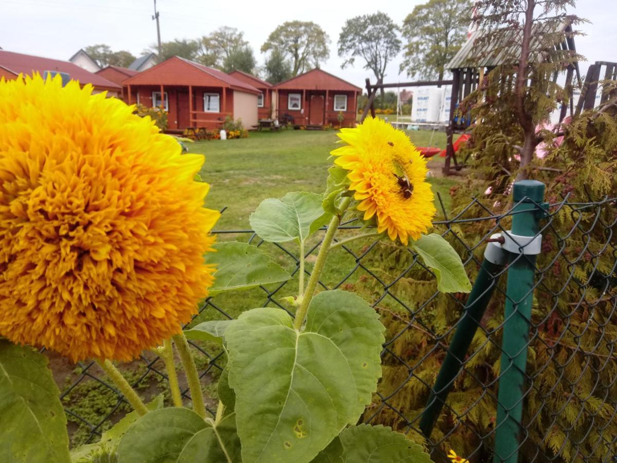 Agroturystyka Domki Eden Sarbinowo Buitenkant foto